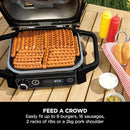 Woodfire Electric BBQ Grill & Smoker